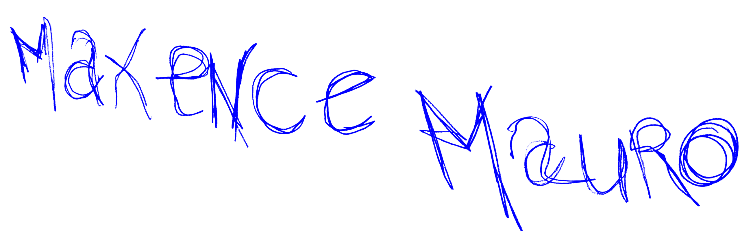 https://www.maxencemauro.com/menu/