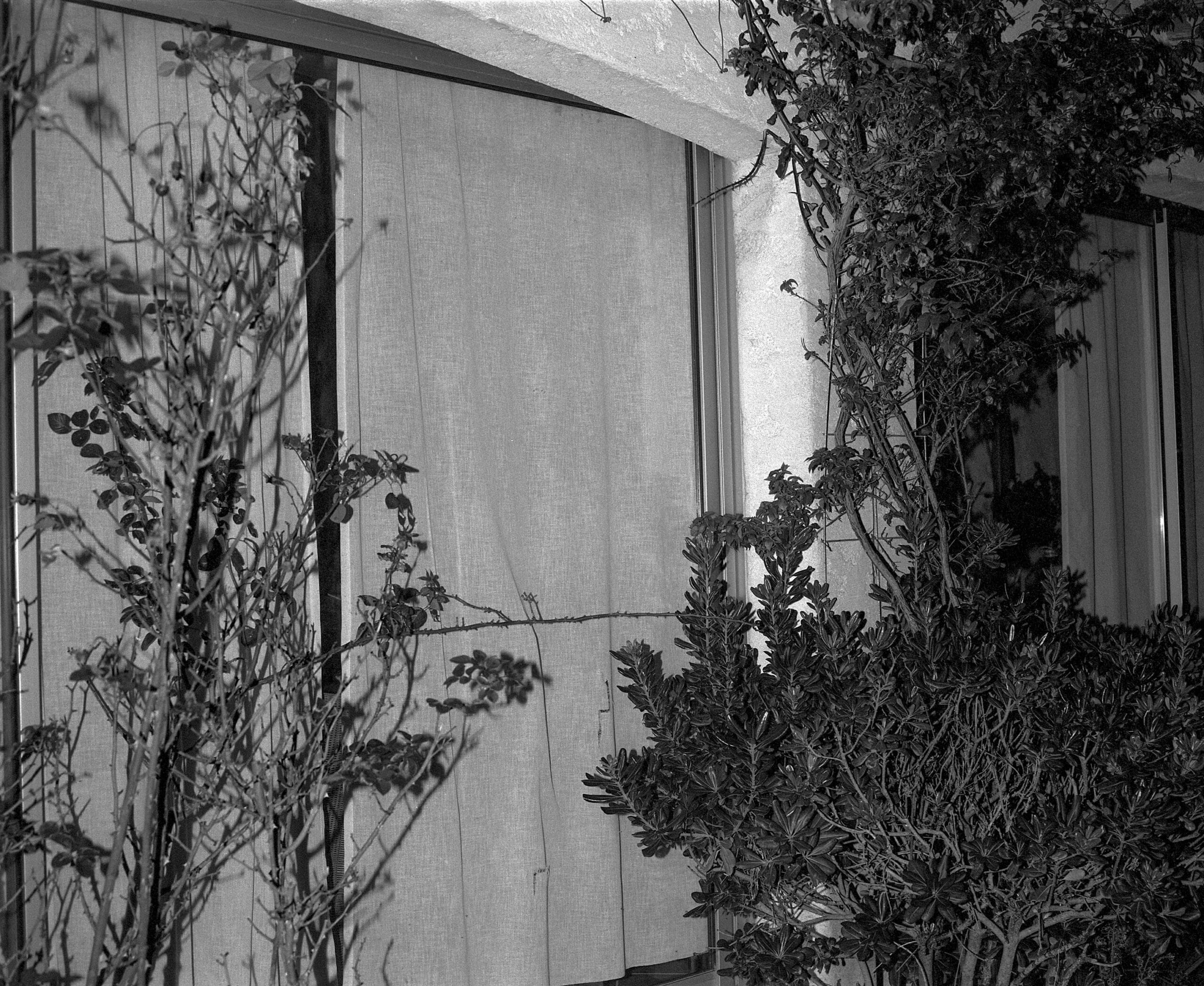 Projet photographique de portrait de la mère du photographe à travers des images et détails relatant de la vie de cette dernière.